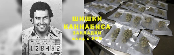 дмт Богородицк