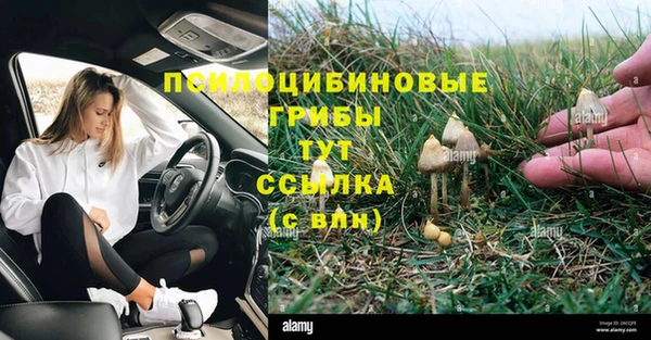 герыч Семилуки