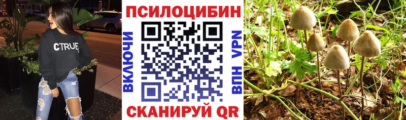 Галлюциногенные грибы Psilocybine cubensis  Кедровый 